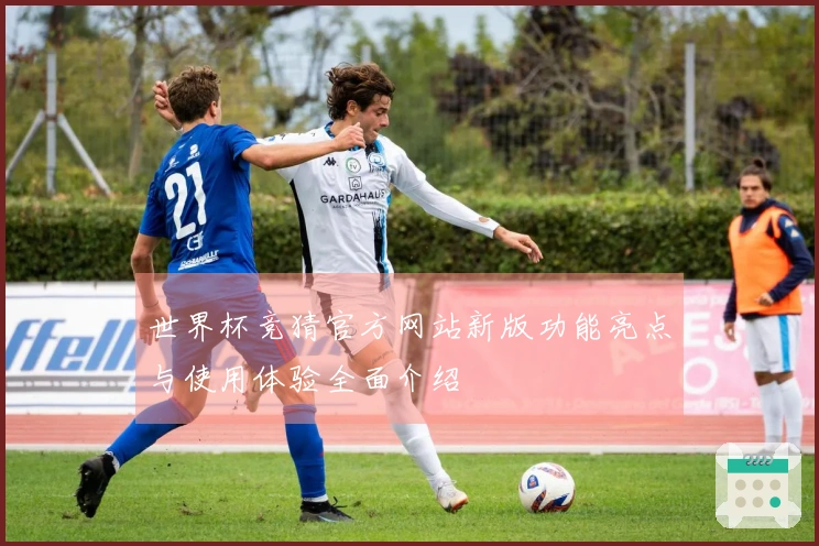 世界杯竞猜官方网站新版功能亮点与使用体验全面介绍
