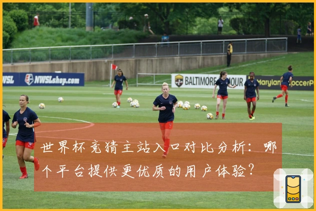 世界杯竞猜主站入口对比分析：哪个平台提供更优质的用户体验？