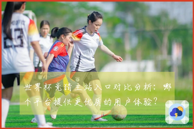 世界杯竞猜主站入口对比分析：哪个平台提供更优质的用户体验？