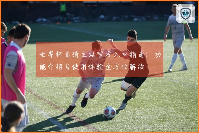 世界杯竞猜主站官方入口指南：功能介绍与使用体验全方位解读