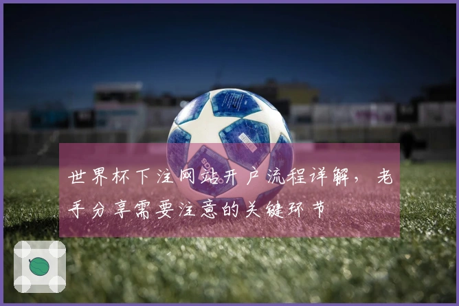 世界杯下注网站开户流程详解，老手分享需要注意的关键环节