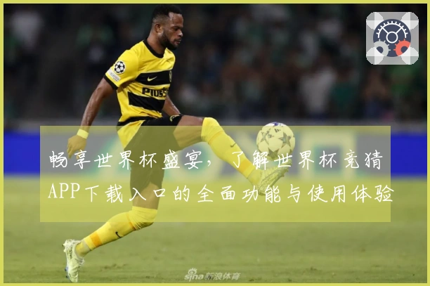 畅享世界杯盛宴，了解世界杯竞猜APP下载入口的全面功能与使用体验