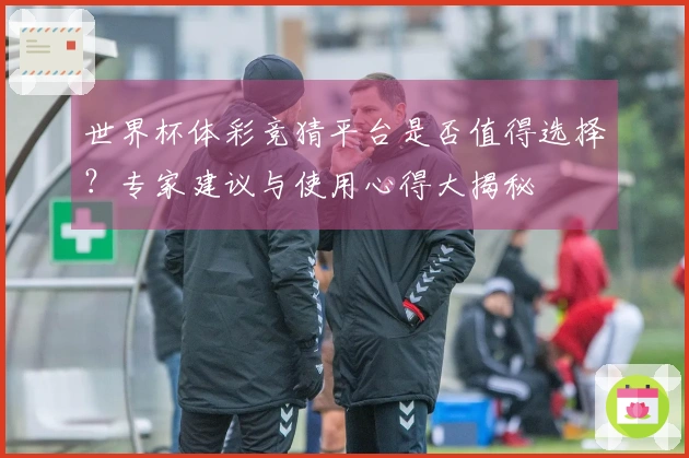 世界杯体彩竞猜平台是否值得选择？专家建议与使用心得大揭秘