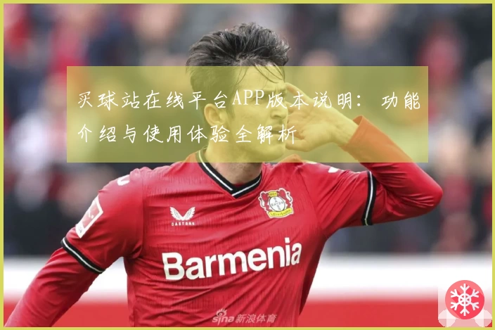 买球站在线平台APP版本说明：功能介绍与使用体验全解析