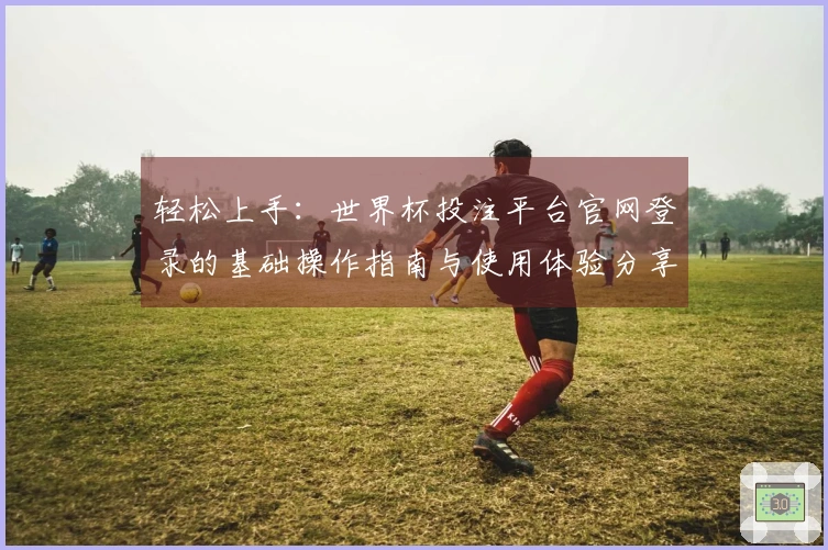 轻松上手：世界杯投注平台官网登录的基础操作指南与使用体验分享