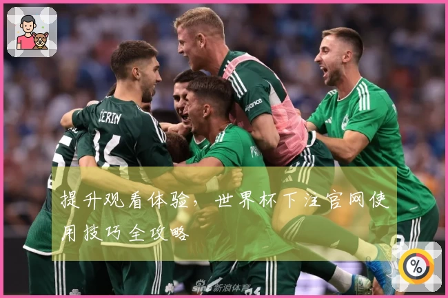 提升观看体验，世界杯下注官网使用技巧全攻略