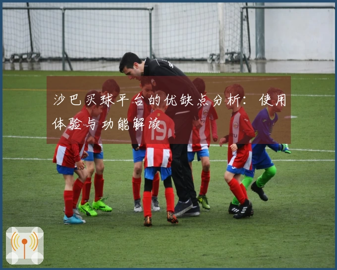沙巴买球平台的优缺点分析：使用体验与功能解读