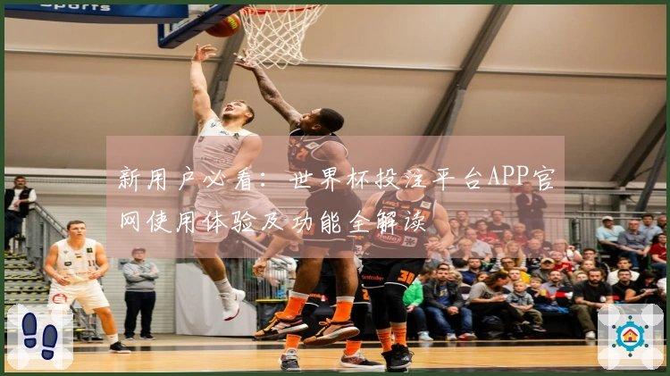 新用户必看：世界杯投注平台APP官网使用体验及功能全解读