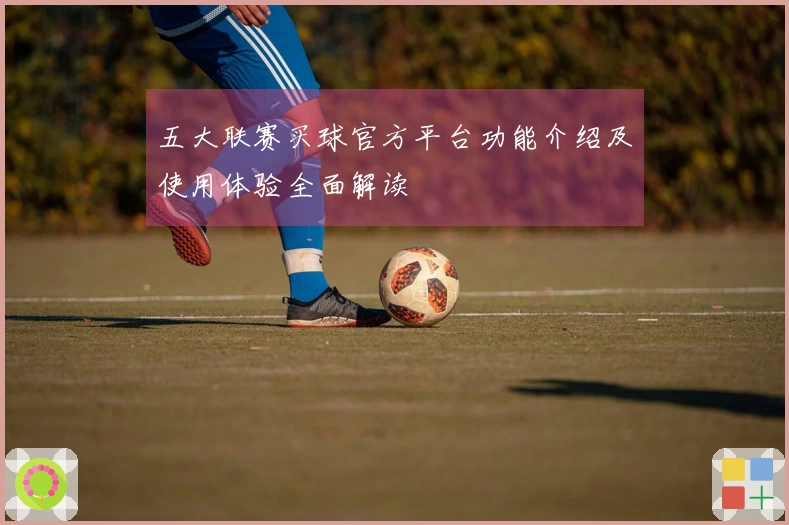 五大联赛买球官方平台功能介绍及使用体验全面解读