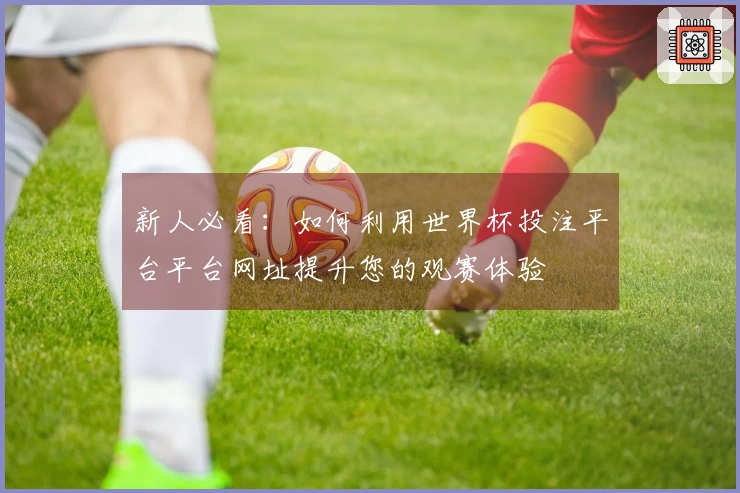 新人必看：如何利用世界杯投注平台平台网址提升您的观赛体验